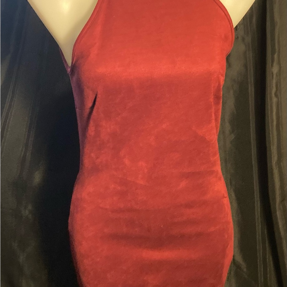 Lovely Day Red Velvet Mini Dress